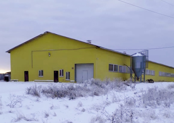 здание, коровник(2018)|Фото: УФССП России по Свердловской области