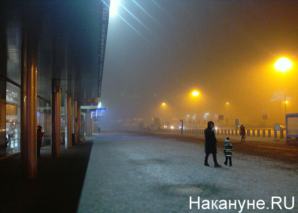 туман в Кольцово(2018)|Фото: Накануне.RU