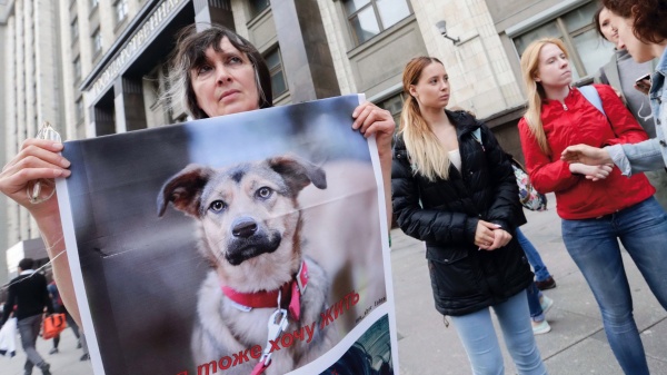 пикет у Госдумы, закон об ответственном обращении с животными(2018)|Фото: http://duma.gov.ru