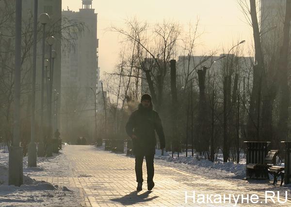 аллея вдоль улицы Белинского (между Декабристов и Куйбышева)(2018)|Фото: Накануне.RU