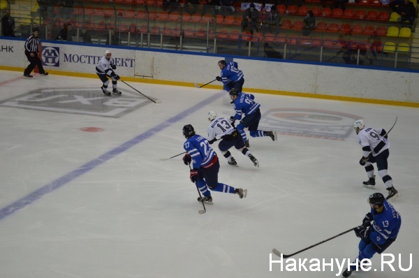 хоккей, Динамо, Зауралье, ВХЛ | Фото:Накануне.RU