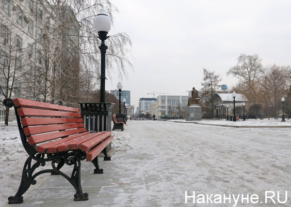 сквер Попова, скамейка(2019)|Фото: Накануне.RU