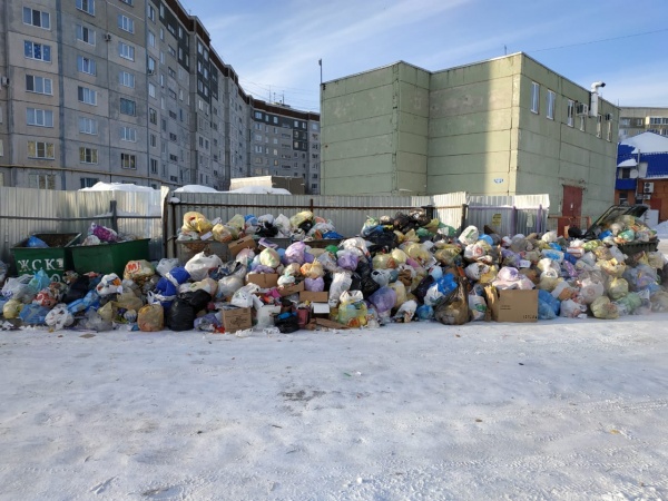 мусор, свалки, отходы(2019)|Фото:ОНФ Курганской области