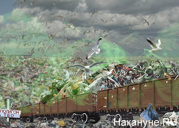 коллаж, мусор, вагоны, полигон ТБО(2019)|Фото: Накануне.RU