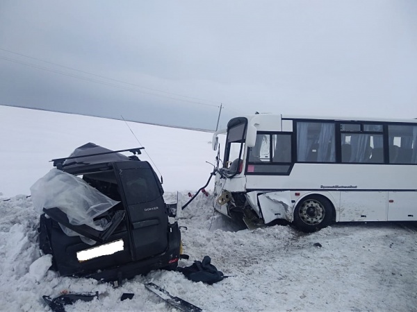 Рено, автобус, авария, Иртыш(2019)|Фото:ГИБДД Курганской области