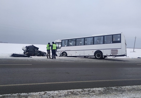 Рено, автобус, авария, Иртыш(2019)|Фото:ГИБДД Курганской области