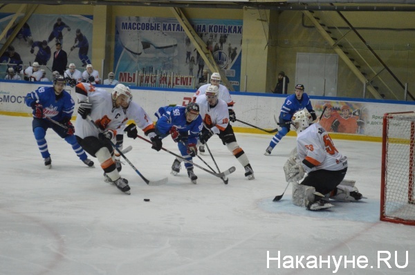 хоккей, Зауралье, Молот-Прикамье, ВХЛ | Фото:Накануне.RU
