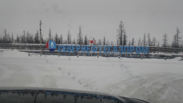 Трубопровод Севернефтегазпром(2019)|Фото: СУ СКР по ЯНАО