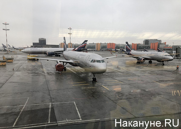 аэропорт Шереметьево, Аэрофлот, самолеты(2019)|Фото: Накануне.RU