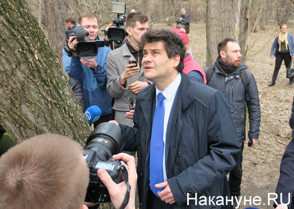 Александр Высокинский в Зеленой роще, деревья(2019)|Фото: Накануне.RU