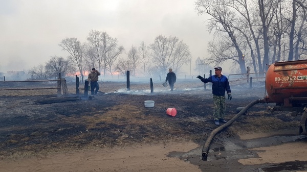 пожары в Курганской области(2019)|Фото: kurganobl.ru