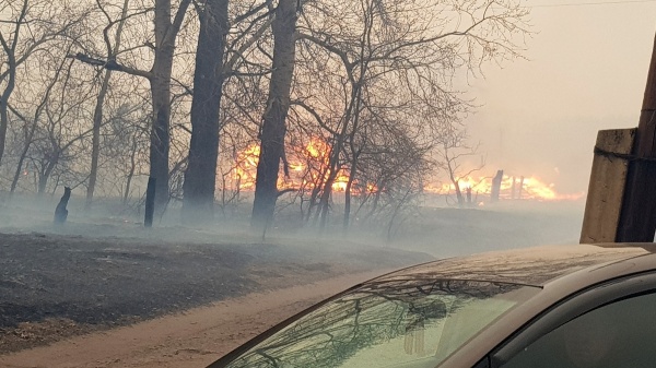 пожары в Курганской области(2019)|Фото: kurganobl.ru