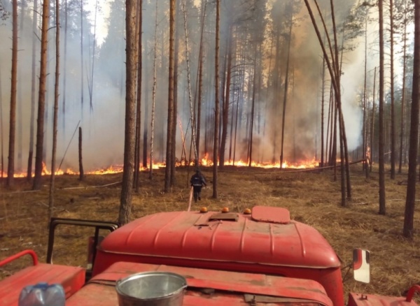 пожар, огонь, леса, МЧС(2019)|Фото:ГУ МЧС России по Курганской области