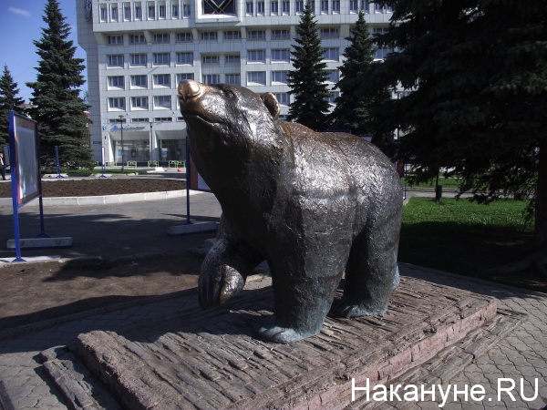Пермский медведь(2019)|Фото: Накануне.RU