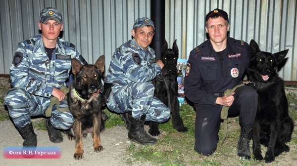 полицейские, кинологи, собаки(2019)|Фото: В.Н. Горелых