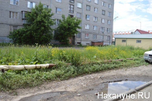 дом, Бажова, двор, трава(2019)|Фото:Накануне.RU
