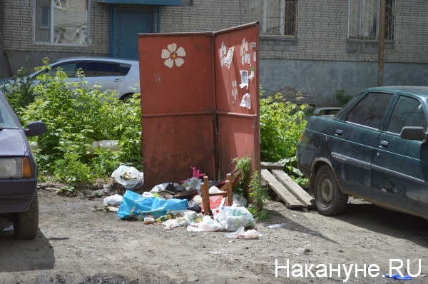 мусорная площадка(2019)|Фото:Накануне.RU