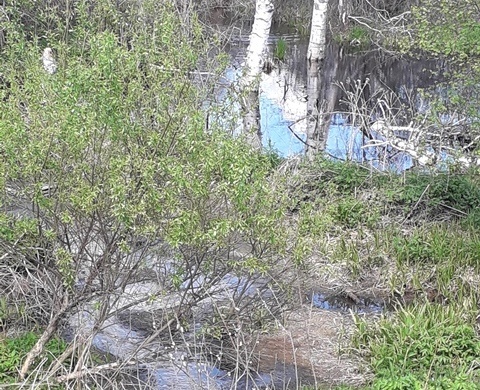 Загрязнение реки Ушаковка Тюменский район(2019)|Фото: Прокуратура Тюменской области