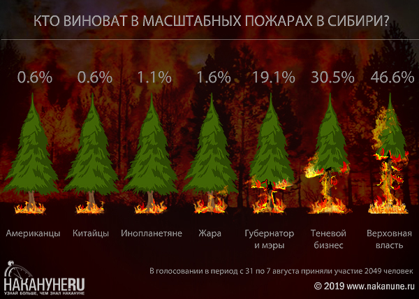 Инфографика опроса про лесные пожары в Сибири(2019)|Фото: Накануне.RU