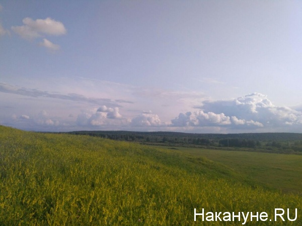 Сысертский район, поле, луг, природа, облака, трава(2019)|Фото: Накануне.RU