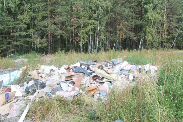 свалка, мусор, Аракчино(2019)|Фото: ОНФ Тюменская область