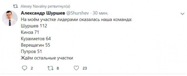 выборы 2019, петербург, умное голосование, навальный, incl(2019)|