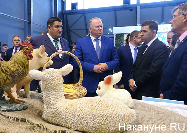 IX Межрегиональная агропромышленная выставка УрФО, Цуканов, Куйвашев(2019)|Фото: Накануне.RU