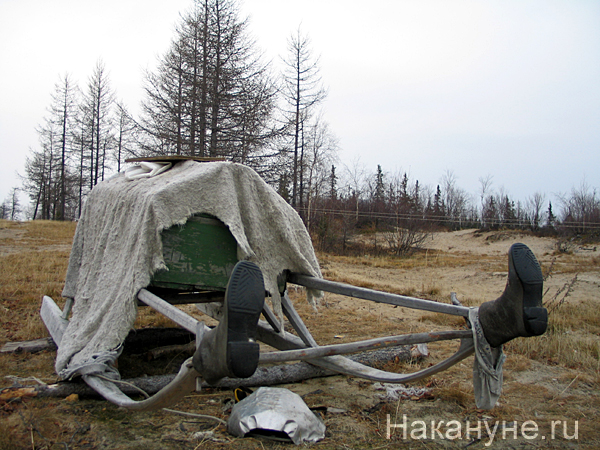 Тынзян поселок