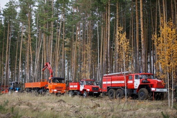 техника, пожарная, лес(2019)|Фото:пресс-служба Воронежской областной думы