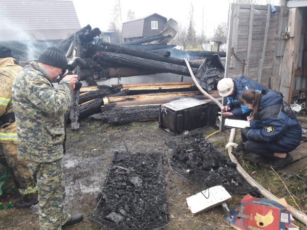 пожар, Сановка(2019)|Фото:СУ СК России по Рязанской области