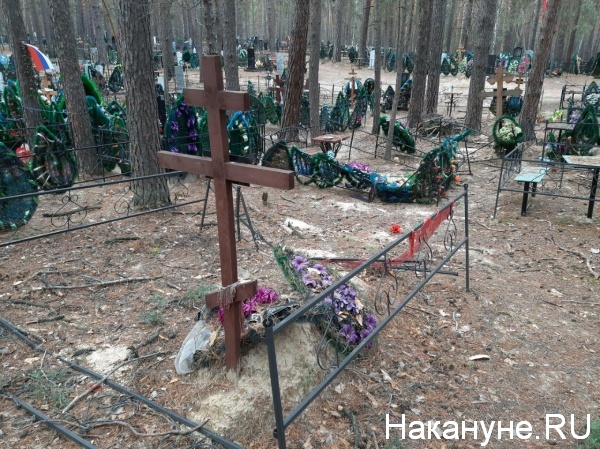 кладбище, могилы, Чистопрудный, дерево, разрушения(2019)|Фото:Накануне.RU