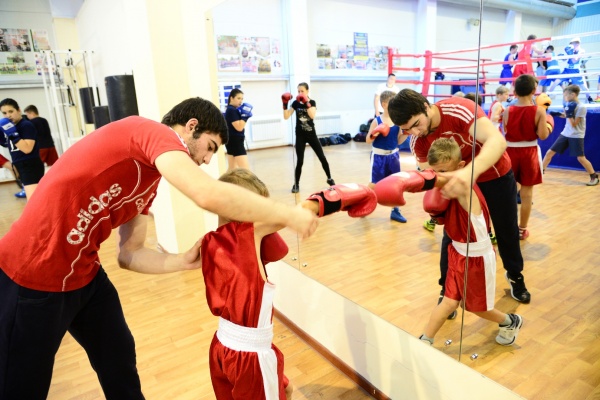 бокс, спорт(2019)|Фото: пресс-служба Воронежской областной думы