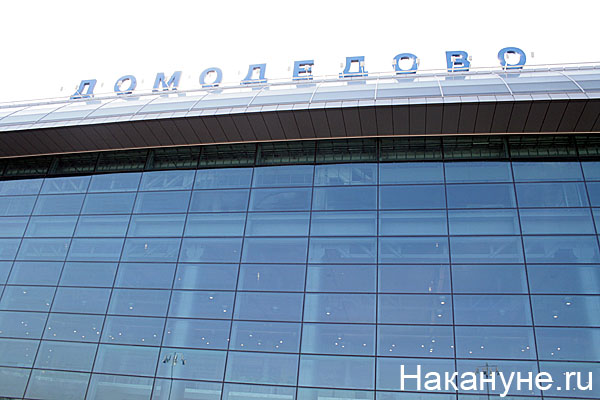 Домодедово, аэропорт, Москва|Фото: www.bookflighttickets.biz