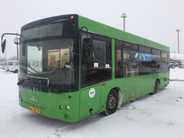 Низкопольные автобусы Нижневартовск(2019)|Фото: Администрация Нижневартовска