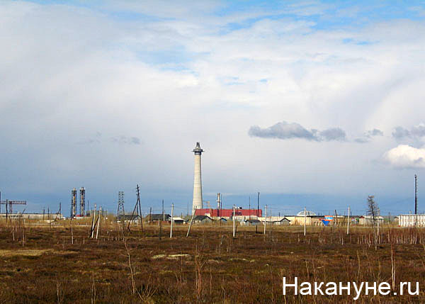 оао огк-1 уренгойская грэс | Фото: Накануне.ru