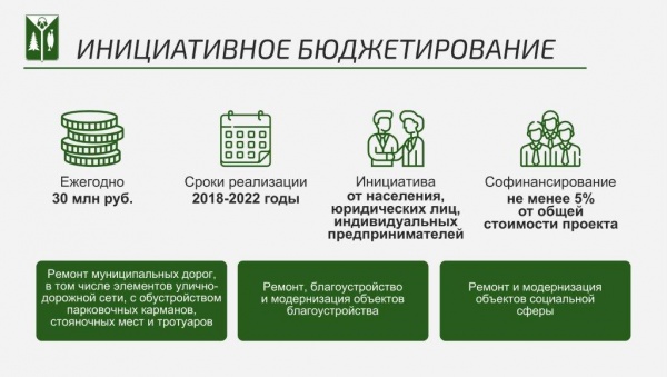 инициативное бюджетирование, инфографика(2020)|Фото:пресс-служба администрации Нижневартовска