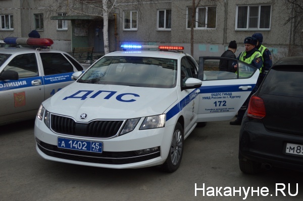 ГИБДД, полиция, Карельцева, пьяный водитель(2020)|Фото: Накануне.RU