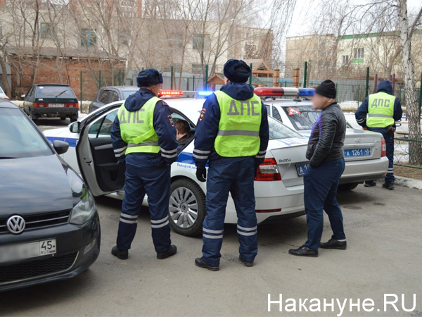 полиция, ГИБДД, пьяный водитель, Карельцева(2020)|Фото: Накануне.RU