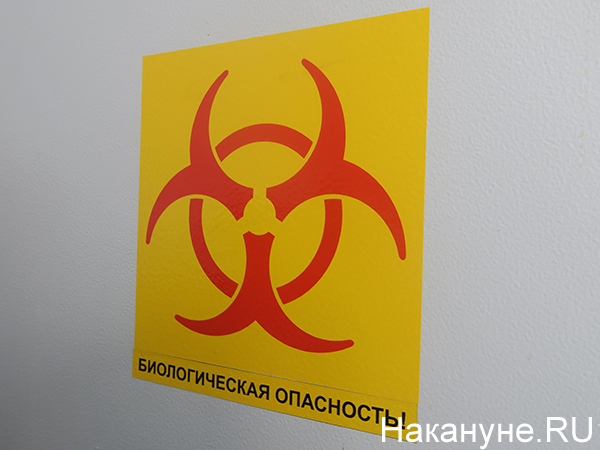 Лаборатория, где будут проводиться проверка на коронавирус в Екатеринбурге(2020)|Фото: Накануне.RU