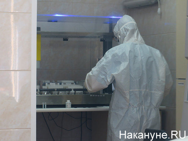 Лаборатория, где проводится проверка на коронавирус в Екатеринбурге(2020)|Фото: Накануне.RU