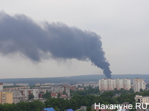 Пожар в районе улицы Селькоровской(2020)|Фото: Накануне.RU