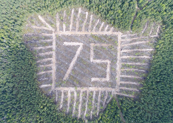 В Кочевском районе в рамках Международной акции "Сад памяти" создан геоглиф в форме цифры "75"(2020)|Фото: Правительство Пермского края