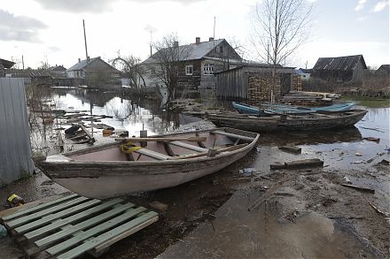 деревня, подтопление, половодье, затопление, лодка, река(2020)|Фото: пресс-служба правительства Вологодской области