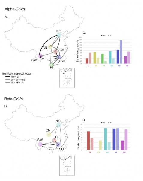 Пути рассредоточения коронавируса в Китае(2020)|Фото: thepapper.cn