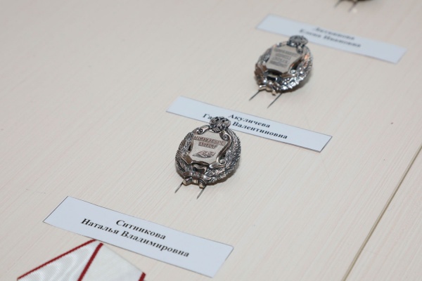 награды, знак, почетный(2020)|Фото: пресс-служба правительства Вологодской области
