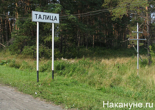талица дорожный указатель | Фото: Накануне.ru