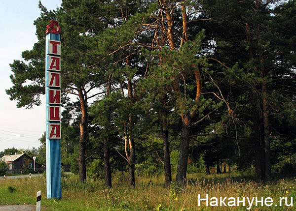 талица стела | Фото: Накануне.ru