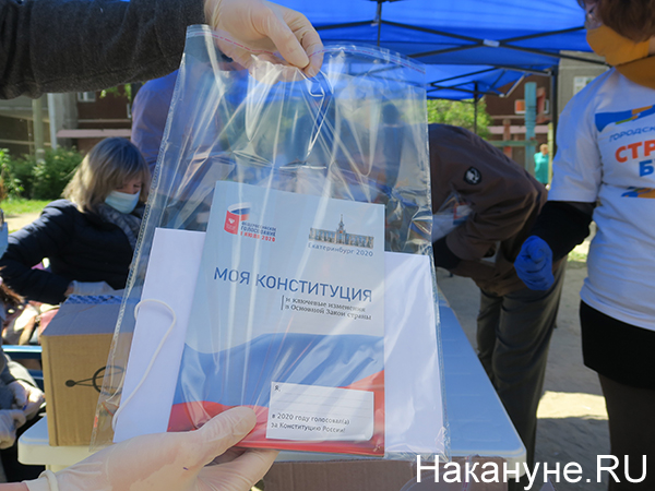 Придомовой участок для голосования по поправкам в Конституцию РФ(2020)|Фото: Накануне.RU