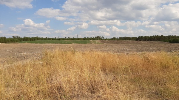 рекультивация, поле, трава, покос(2020)|Фото: пресс-служба администрации Сургутского района