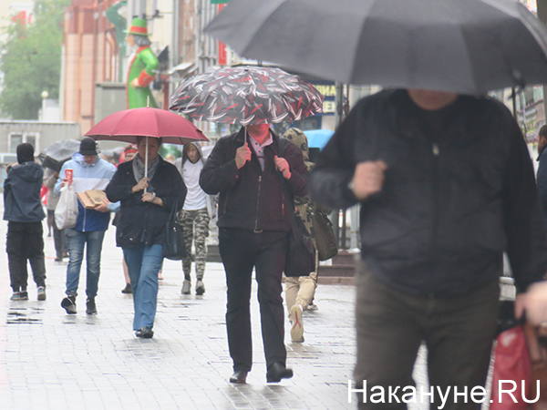 Фото: Накануне.RU
